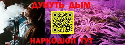 прущие крисы Кандалакша