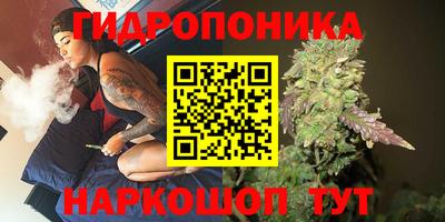 spice Канаш