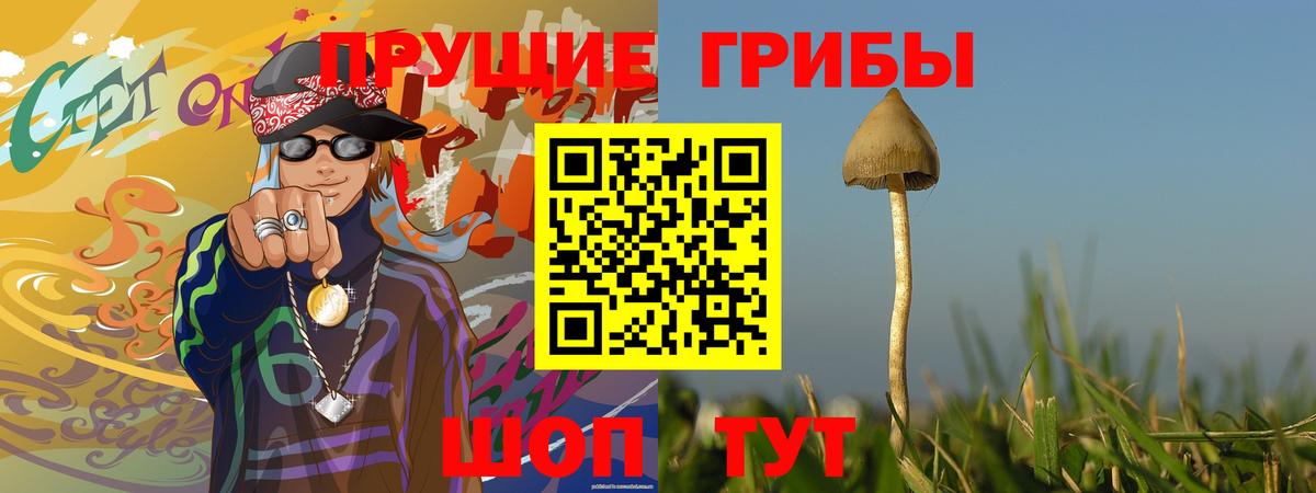 Краснокаменск  закладки  Вход с VPN  Псилоцибиновые грибы прущие грибы 